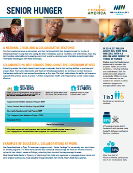 Senior Hunger One-Pager