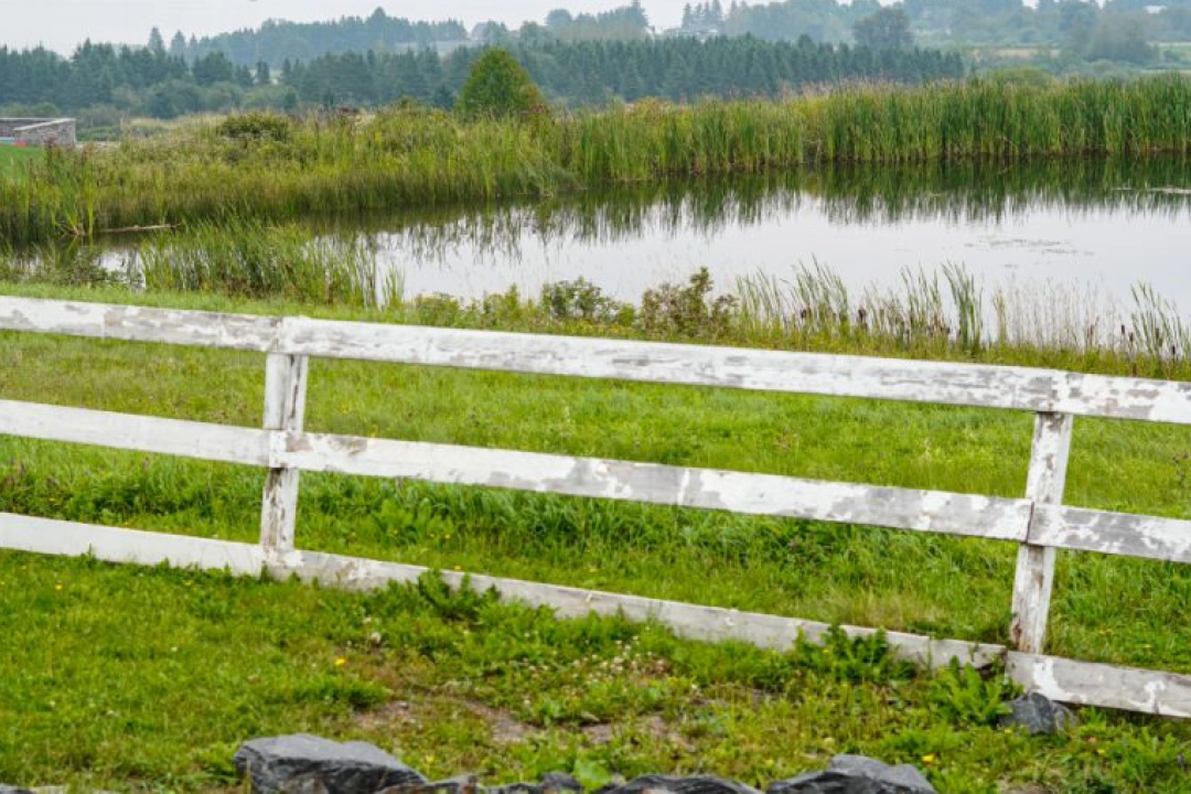Fence in a field with a pond in Presque Isle, Maine Aroostook County - rural senior hunger