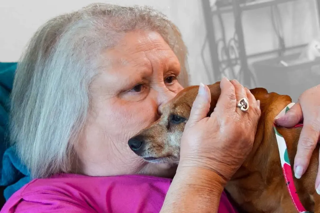Older Adult Holding Dog