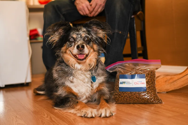 Bleau Smiling Next to MOWLP x PetSmart Dog Pet Food4