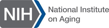 National Institute on Aging Logo (gray arrow with white letters that spells NIH with a blue arrow point).