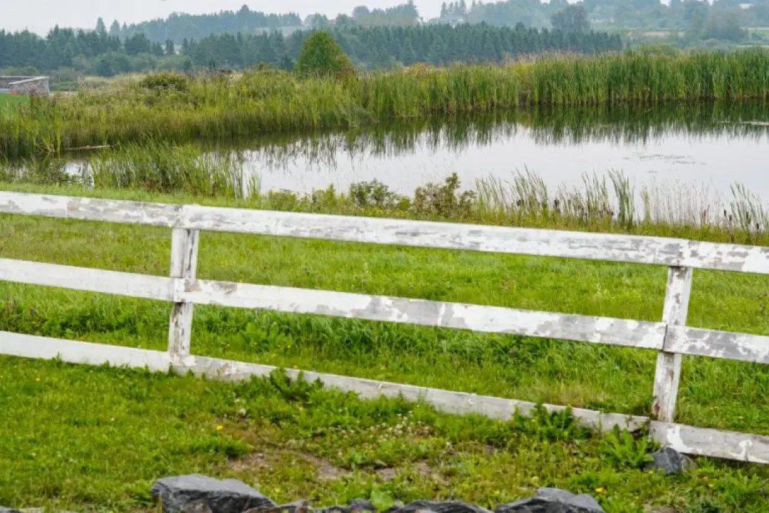 Fence in a field with a pond in Presque Isle, Maine Aroostook County - rural senior hunger